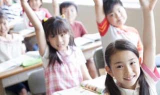 小学语文知识大全（小学语文知识大全电子版免费阅读）