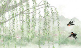 两个黄鹂鸣翠柳一行白鹭上青天原文（两个黄鹂鸣翠柳一行白鹭上青天这首诗）