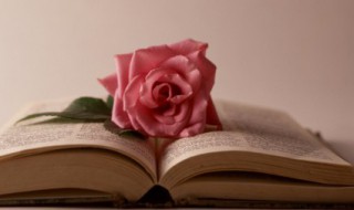 松下问童子言师采药去原文