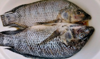 罗非鱼怎么做（罗非鱼怎么做最好吃）