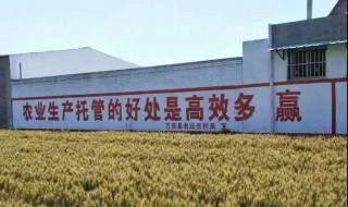 农业生产的谚语（农业生产的谚语俗语）