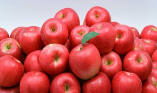 关于苹果的资料 关于苹果的资料说明文400字