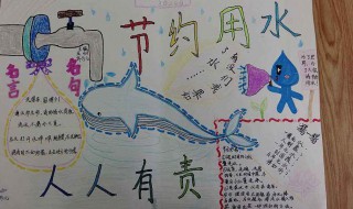 关于水的手抄报内容 科学关于水的手抄报内容