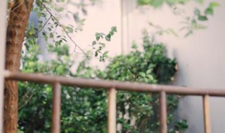 新农村建设标语（新农村建设标语精选2022）