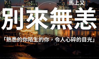 别来无恙歌词 别来无恙歌词陈柏宇