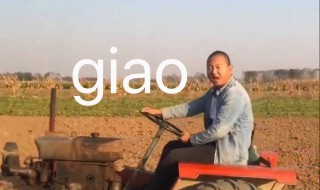 giao是什么意思 男生说giao是什么意思