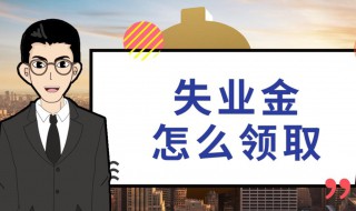 失业保险怎么领（失业保险怎么领取?有什么条件?）