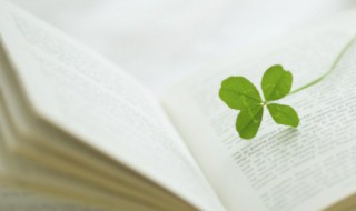 关于描写春天的句子（关于描写春天的句子10字）