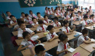 我的植物朋友作文三年级300字（我的植物朋友作文三年级300字樱花）