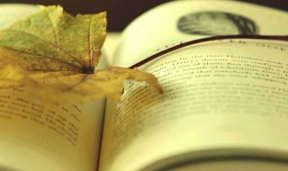 有关思乡的诗（有关思乡的诗句小学）