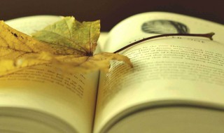 相信未来 相信未来诗歌鉴赏