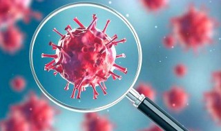 有关新型冠状病毒的作文（有关新型冠状病毒的作文素材）