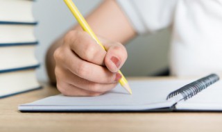 中国的世界文化遗产作文500字（中国的世界文化遗产作文500字长城）