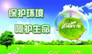 保护环境的作文（保护环境的作文400字）