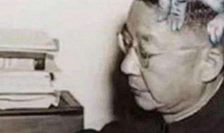 关于老舍的资料（关于老舍的资料简介）