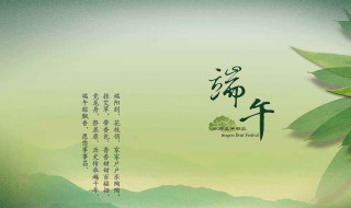 作文端午节300字（作文端午节300字优秀范文）