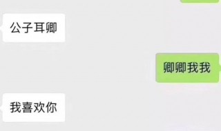 公子耳卿是成语吗（公子耳卿是成语吗还是词语）