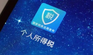 个人所得税app怎么退税（个人所得税怎样申请免税）