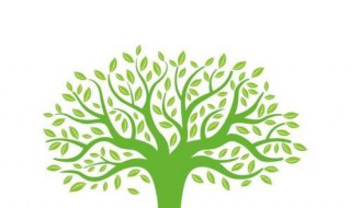 小树的心思作文 小树的心思作文批改评语