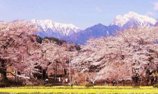 日本我孙子市在哪个县 日本孙子市是哪个县