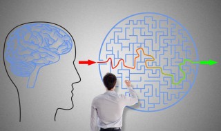 主观什么意思 哲学上的客观和主观什么意思