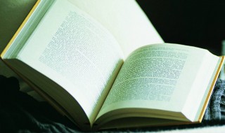 公举是什么意思(傲娇的小公举是什么意思)