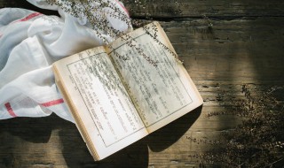 蒹葭萋萋什么意思（蒹葭萋萋啥意思）