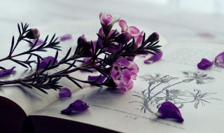 慢吞吞地干什么填空