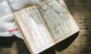 绿阴不减来时路指的是什么意思