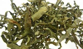 柿子叶茶的做法和配方 柿子叶茶的做法和配方视频