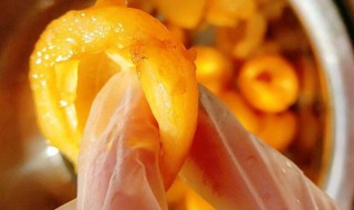 川贝枇杷膏的制作方法 川贝枇杷膏的制作方法和比例