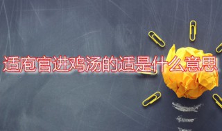 适庖官进鸡汤的适是什么意思（适是什么意思?）