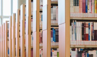 美得不可方物是什么意思下一句（美得不可方物什么意思?什么成语?）