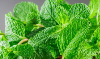 葱绿葱绿照样子写句子 葱葱绿绿写一句话