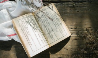 亵怎么读 亵怎么读写