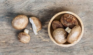 香菇的根为什么不能吃 香菇的根为什么不能吃呢