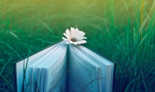 潮水是什么意思 梦见钱塘江涨潮水是什么意思