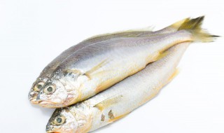 红烧大黄鱼的正确方法（红烧大黄鱼的正确方法窍门）