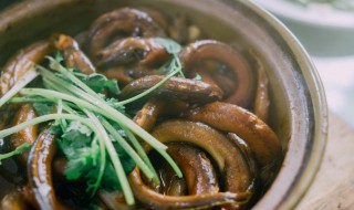 家常鳝鱼怎么做好吃（炒鳝鱼的家常做法）