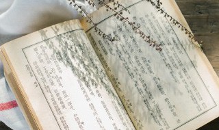 惊喜惊艳四方的意思 惊艳四方是什么意思?