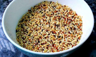 白藜麦怎么做好吃（五种人不宜吃藜麦）