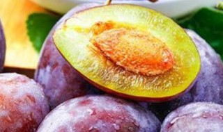 西梅皮可以一起吃吗 湿气重的人吃西梅好吗