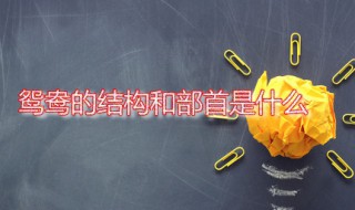鸳鸯的结构和部首是什么 鸳鸯的部首各是什么部首