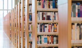 鬣怎么读 鬣怎么读什么意思鬓