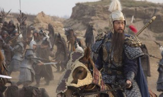 杨家将故事简介（杨家将故事简介30字）