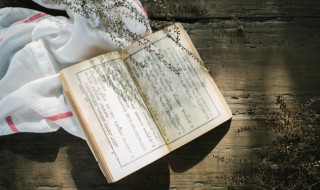 窦娥冤故事简介 窦娥冤故事简介200字