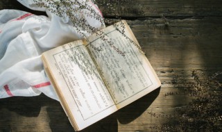 彭家煌怂恿故事简介 彭家煌作品集(无注释版 彭家煌