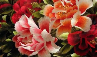 中国著名刺绣作品及简介（中国著名刺绣作品名称）