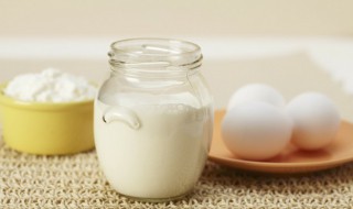 酸奶用英语怎么说 一杯酸奶用英语怎么说