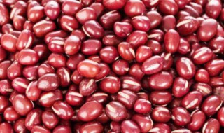 红小豆能代替红豆吗（长期吃赤小豆的害处）